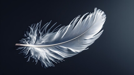 Elegant White Feather on Dark Background with Detailed Texture