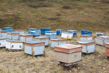 beehive in a row