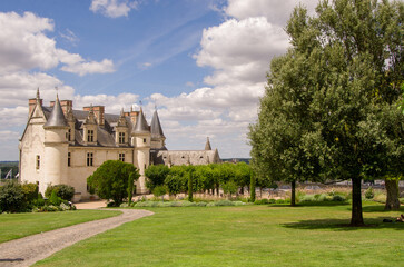 Castle in the city of Amboise France, beautiful architecture, old roofs, Loire river, green trees and colorful flowers.