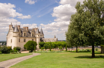 Castle in the city of Amboise France, beautiful architecture, old roofs, Loire river, green trees and colorful flowers.