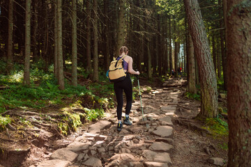 Obraz premium Happy woman traveler standing on the rock enjoying beautiful forest view.Female relaxing on hiking trip. Poland, Tatry, Zakopane