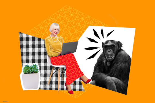 Photo image picture collage sitting old granny woman browsing internet laptop looking amazed chimpanzee monkey yellow background
