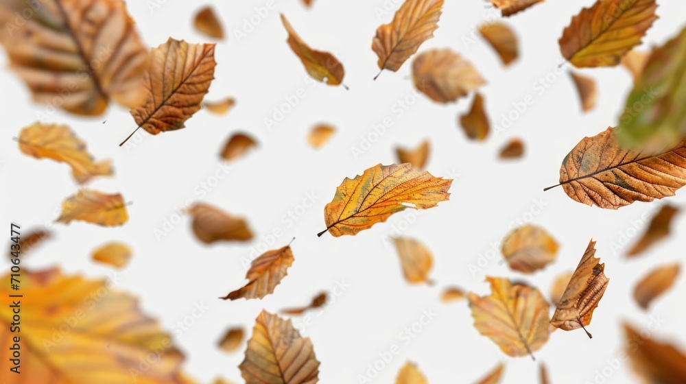 Poster a captivating image capturing a bunch of leaves gracefully flying in the air. perfect for adding a t