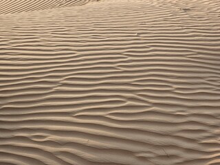 Desert sand texture with line pattern top view Spring sunset gates Sahara desert, with the sand dunes illuminated golden light, Africa tax image isolated Nice background display Beautiful colourful HD