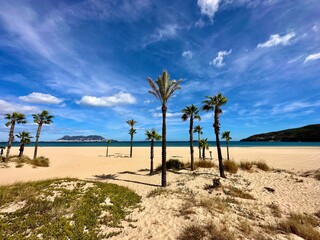 beautiful Playa de Getares beach with palms near Algeciras on the Bay of Gibraltar with a view towards Gibraltar, Andalusia, Spain