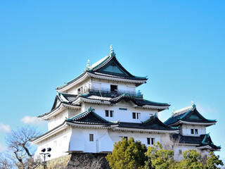 Fototapeta premium The Wakayama Castle