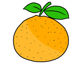 illustration of an orange
