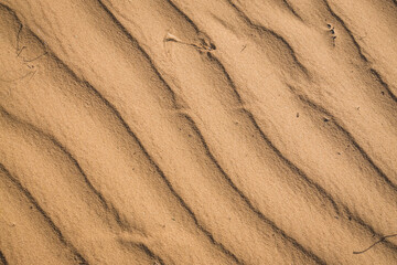 Texture of sand in the hot summer desert of Kyzylkum in Uzbekistan on a summer day
