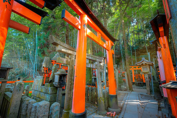 Fototapeta na wymiar Fushimi Inari-taisha shrine, the icon of a path lined with thousands of torii gate in Kyoto, Japan