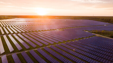 top view of solar panels and green forest at sun. ecology concept. view from above, drone shot
