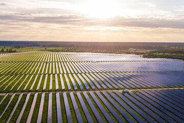 top view of solar panels and green forest at sun. ecology concept. view from above, drone shot