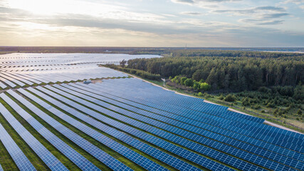 top view of solar panels and green forest at sun. ecology concept. view from above, drone shot