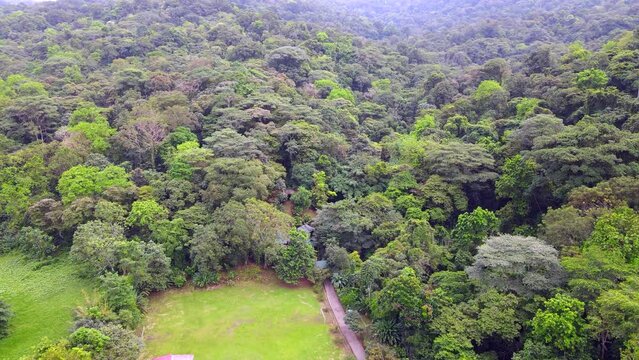 Video a&eacute;reo donde se observan los bosques del Choc&oacute;, en el litoral Pac&iacute;fico de Colombia. Igualmente se observan construcciones entre los &aacute;rboles.