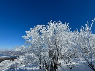 2024年1月の福島県のネコママウンテンの北エリアの霧氷と青空