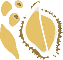 durian kane illustration - obrazy, fototapety, plakaty