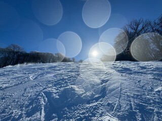 2024年1月の福島県のネコママウンテンの北エリアのゲレンデ