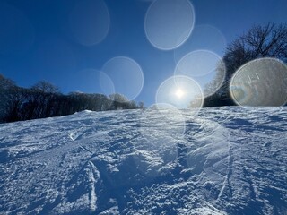 2024年1月の福島県のネコママウンテンの北エリアのゲレンデ