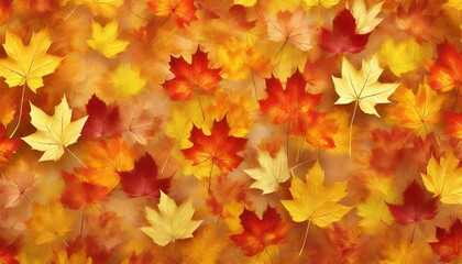 Naklejka na ściany i meble scattered colorful red orange and yellow fall maple leaves background colors of gold autumn seasonal decoration concept illustration