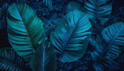 abstract green leaf texture dark blue tone nature background tropical leaf illustration