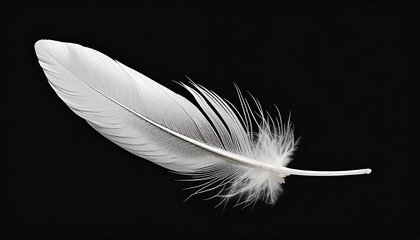 beautiful white feather floating in air isolated on black background illustration
