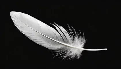 Foto op Plexiglas beautiful white feather floating in air isolated on black background illustration © Katherine