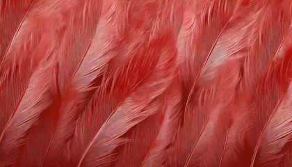 Foto op Plexiglas beautiful red feather pattern texture background illustration © Katherine