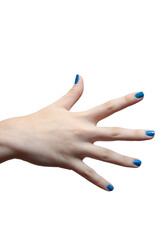 Reverse of young woman's hand showing five fingers on hand. Isolated.White backgrond