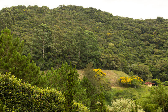 Serra do japi coberta por neblina localizada em Jundia&iacute; interior de S&atilde;o Paulo.
