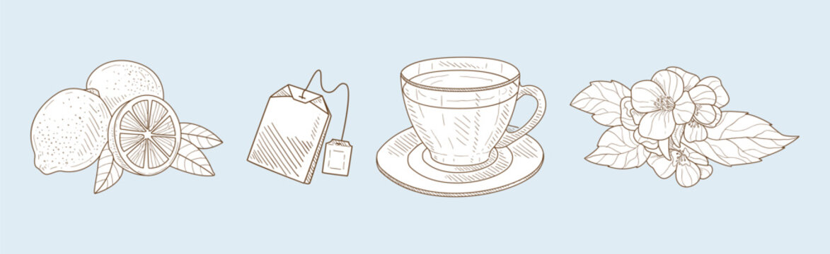 Herbal Tea Item and Element Sketch Hand Drawn Vector Set
