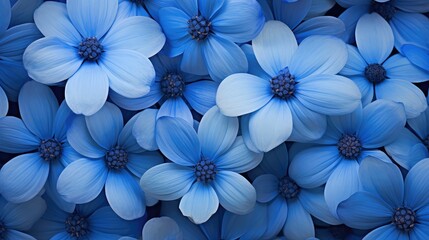 nature blue flower background illustration floral vibrant, beautiful spring, garden petal nature blue flower background - Powered by Adobe