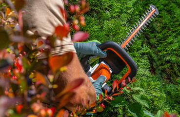 Man Shaping Hedge Using Cordless Electric Trimmer - obrazy, fototapety, plakaty