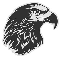 head of a hawk or eagle or griffin without background