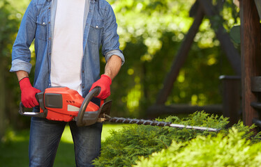 Unrecognizable strong male gardener trimming conifer hedges with modern electric loppers outdoors. Crop view of man in gloves pruning bushes with pro equipment in garden. Concept of gardening.