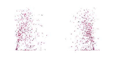 projection de confettis roses sur fond transparent - rendu 3D