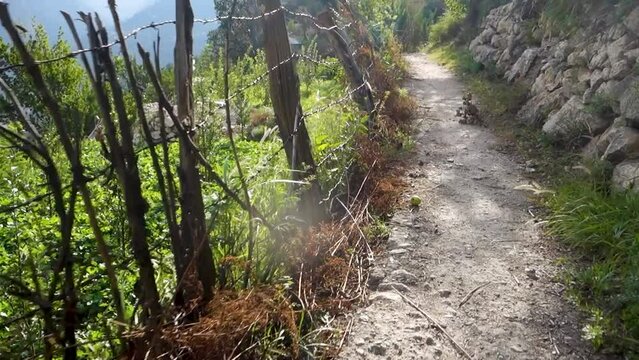POV walk along a rustic wooden log fence bordering a Himachal Pradesh farmland, showcasing countryside holistic living in India