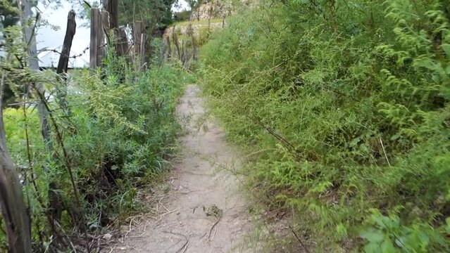 POV walk along a rustic wooden log fence bordering a Himachal Pradesh farmland, showcasing countryside holistic living in India