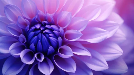 Foto op Canvas hue color purple background illustration shade lavender, lilac plum, mauve violet hue color purple background © vectorwin