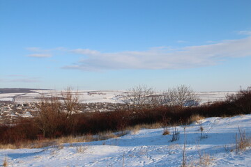 A snowy field with trees and a blue sky