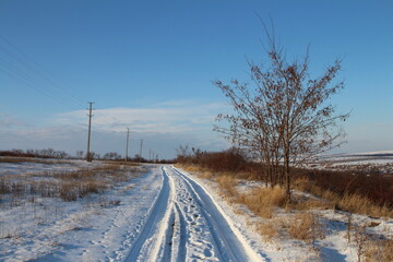 Obraz premium A snowy road with a tree