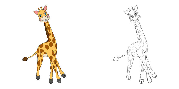 Cute cartoon animal giraffe line and color illustration. Cartoon vector illustration for coloring book.