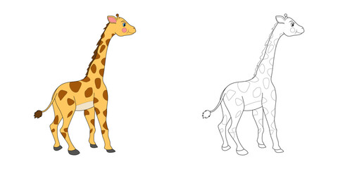 Giraffe line and color illustration. Cartoon vector illustration for coloring book.