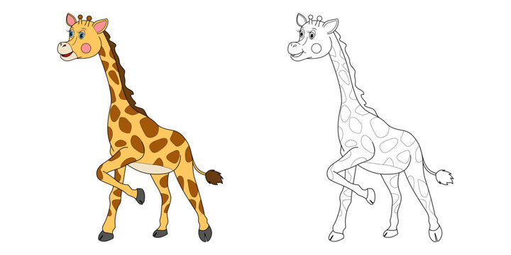 Giraffe illustration line and color. Cartoon vector illustration for coloring book or page.