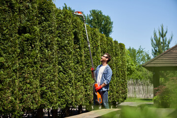Strong male gardener cutting top of huge thujas with motorized hedge trimmer on yard. Side view of...