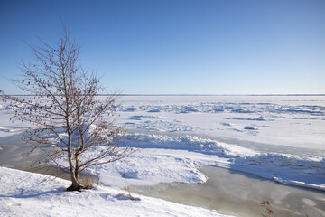 Fototapeta na wymiar Arbre en hiver avec glaces du fleuve, horizontal