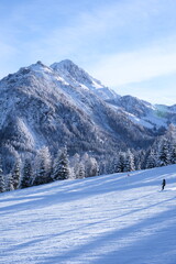 Fototapeta na wymiar Skiresort in Winter