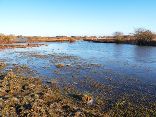 View over flooded wetlands, North Yorkshire, England