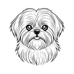 Maltese dog vector EPS