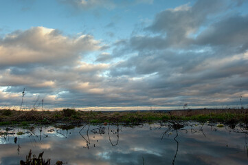 Summer sunset over wheat field. Beautiful sunset sky over countryside