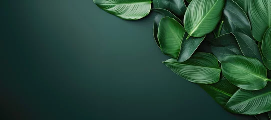 Foto op Plexiglas Tropical background: Palm leaves forming a flat and minimal frame. © EdNurg