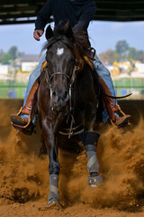A close up view of a rider sliding the horse in the dirt	